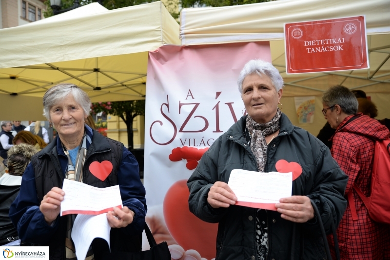 Grillbajnokság, Szív Világnapja a Tirpák Fesztiválon - fotó Trifonov Éva