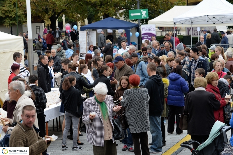 Szilváslepény kóstoló a Tirpák Fesztiválon- fotó Trifonov Éva