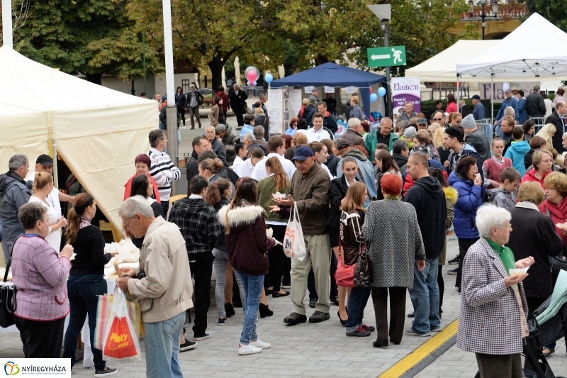 Szilváslepény kóstoló a Tirpák Fesztiválon- fotó Trifonov Éva
