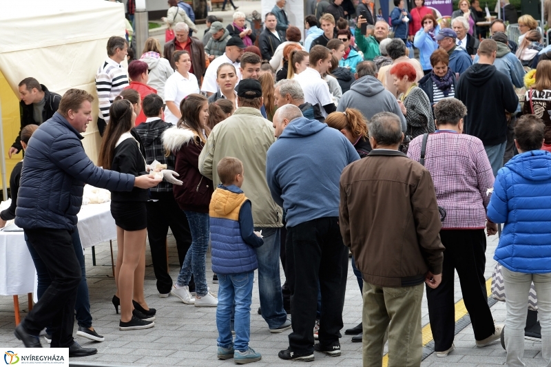 Szilváslepény kóstoló a Tirpák Fesztiválon- fotó Trifonov Éva