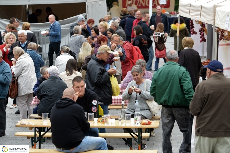 Szilváslepény kóstoló a Tirpák Fesztiválon- fotó Trifonov Éva