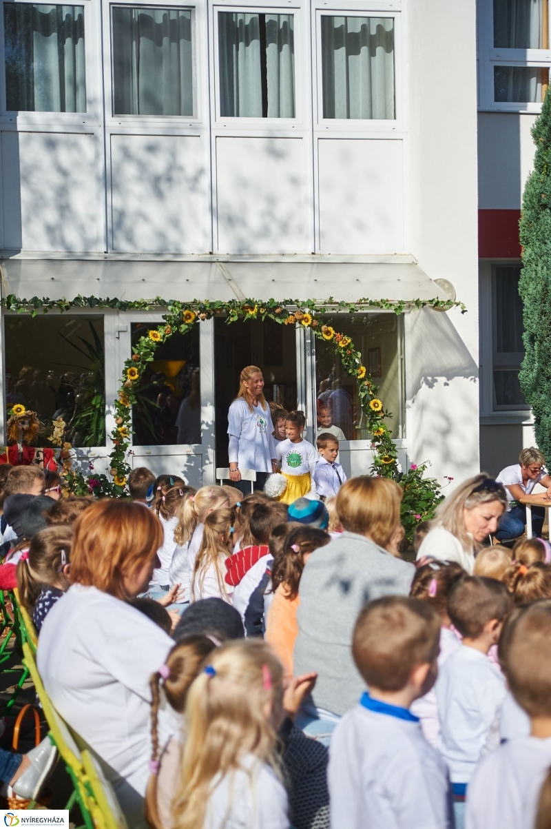 Megnyílt a Tündérkert - fotó Szarka Lajos