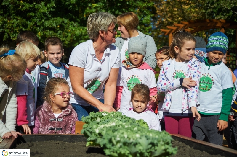 Megnyílt a Tündérkert - fotó Szarka Lajos