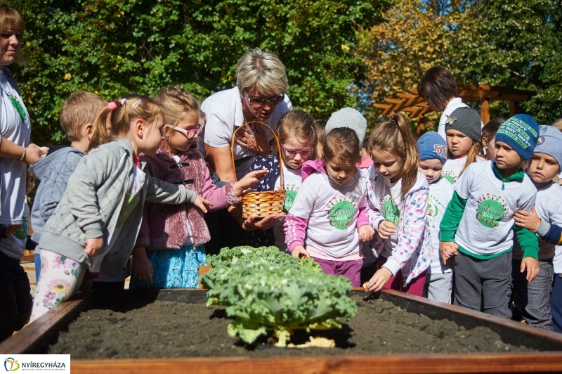 Megnyílt a Tündérkert - fotó Szarka Lajos