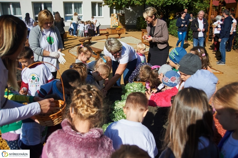 Megnyílt a Tündérkert - fotó Szarka Lajos