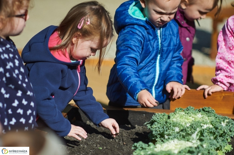 Megnyílt a Tündérkert - fotó Szarka Lajos