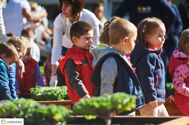 Megnyílt a Tündérkert - fotó Szarka Lajos
