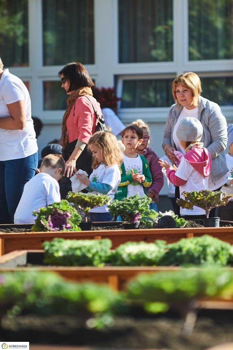 Megnyílt a Tündérkert - fotó Szarka Lajos