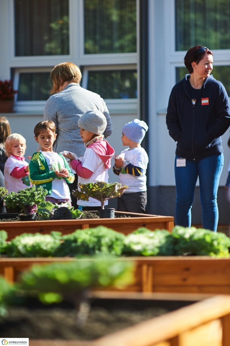 Megnyílt a Tündérkert - fotó Szarka Lajos
