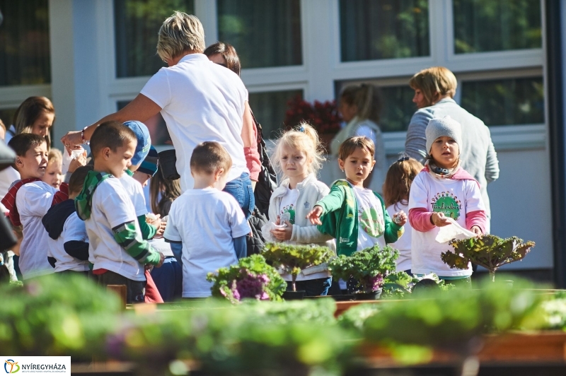 Megnyílt a Tündérkert - fotó Szarka Lajos