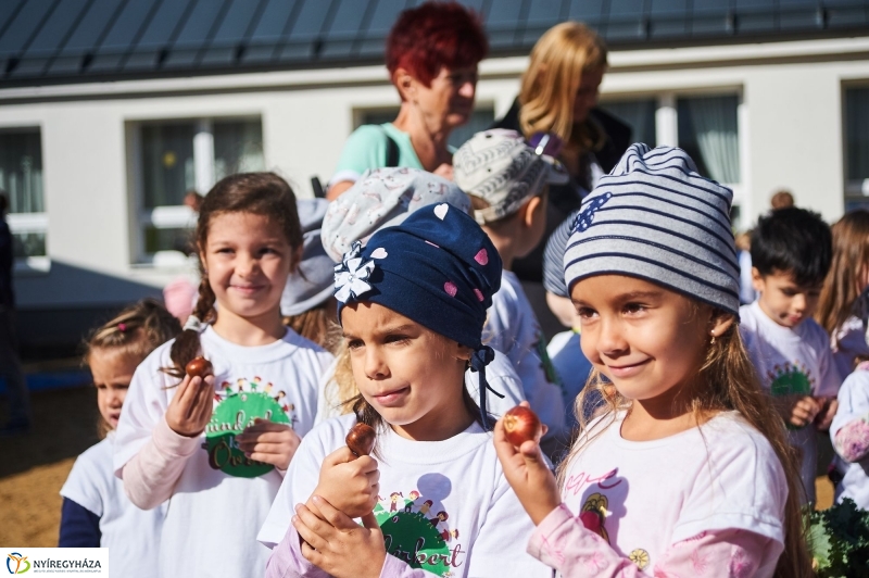 Megnyílt a Tündérkert - fotó Szarka Lajos