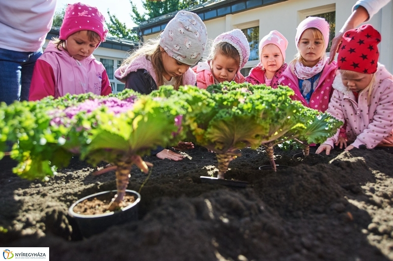 Megnyílt a Tündérkert - fotó Szarka Lajos