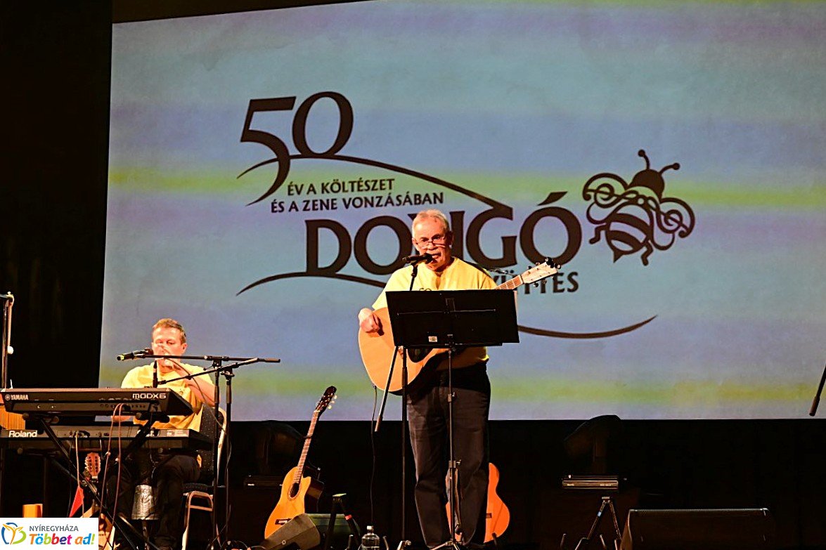 50 éves a Dongó Együttes