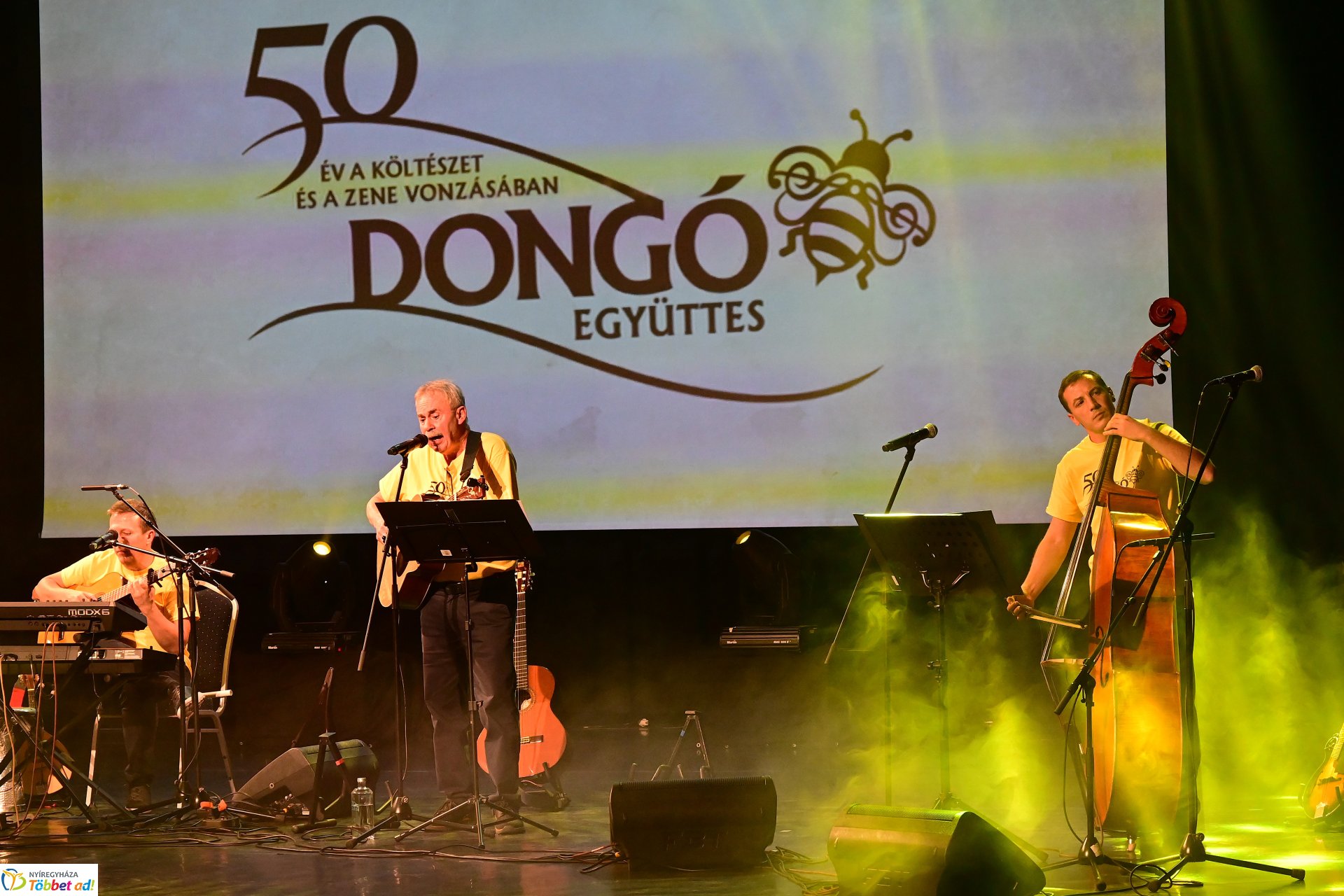 50 éves a Dongó Együttes