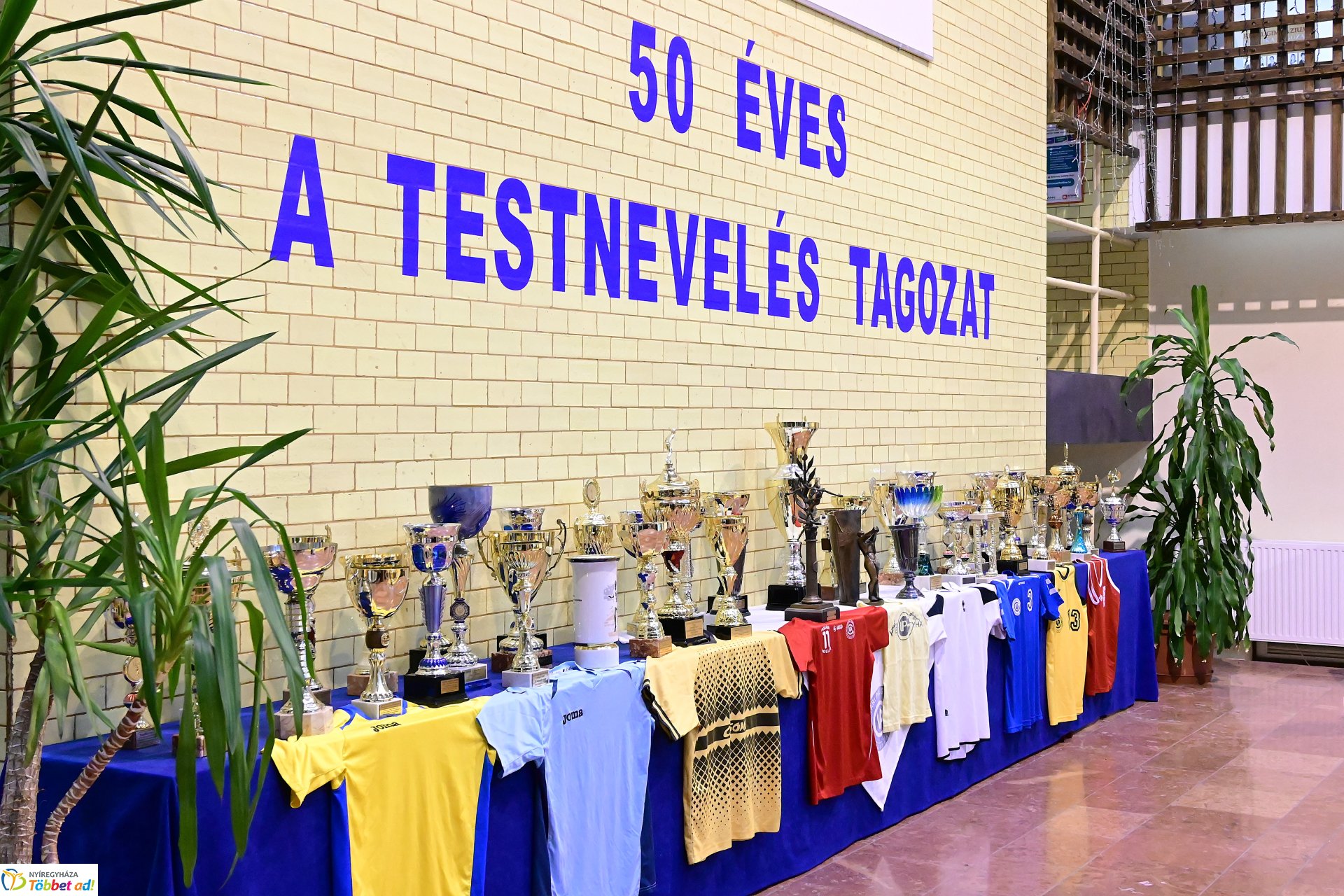 50 éves a testevelési tagozat a Nyíregyházi Vasvári Pál Gimnáziumban