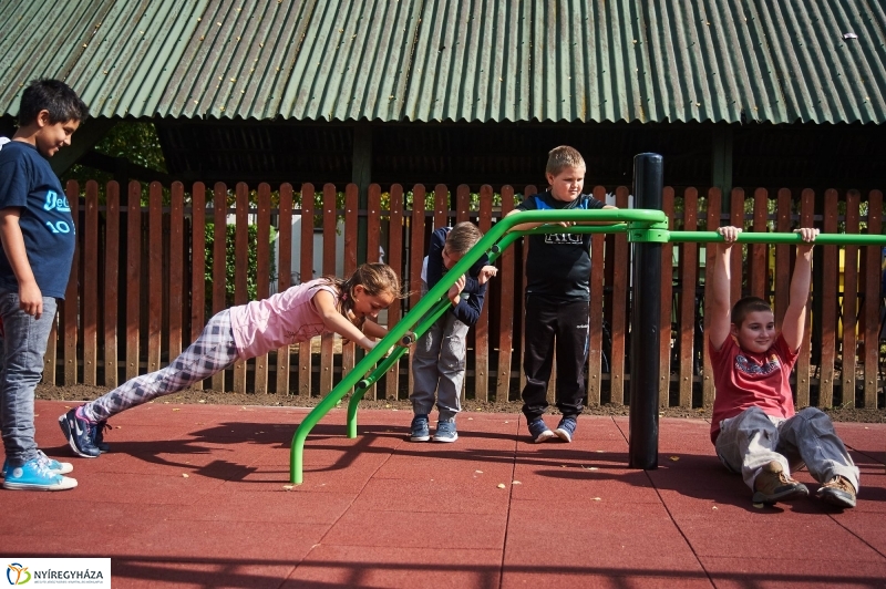 Kondipark Sóstóhegyen - fotó Szarka Lajos