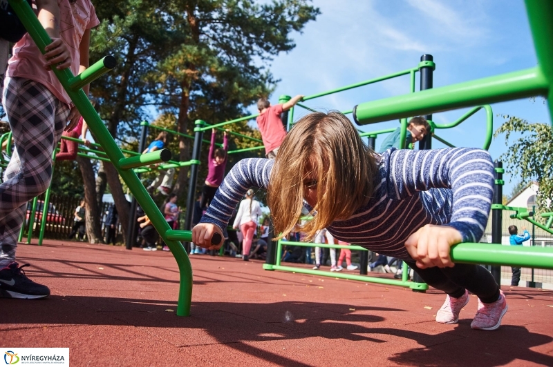 Kondipark Sóstóhegyen - fotó Szarka Lajos