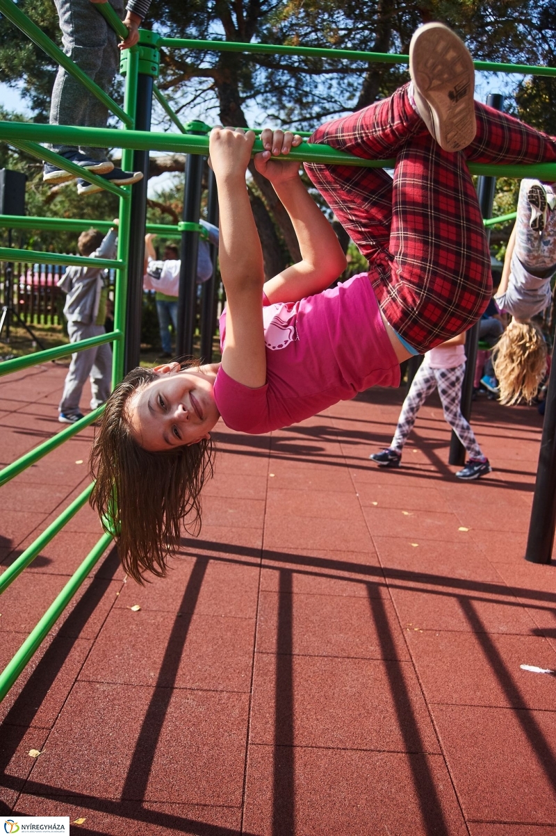 Kondipark Sóstóhegyen - fotó Szarka Lajos