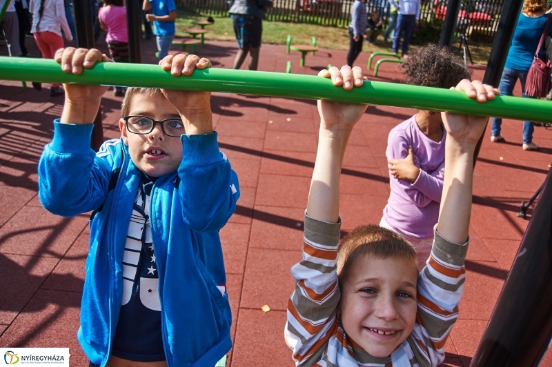 Kondipark Sóstóhegyen - fotó Szarka Lajos