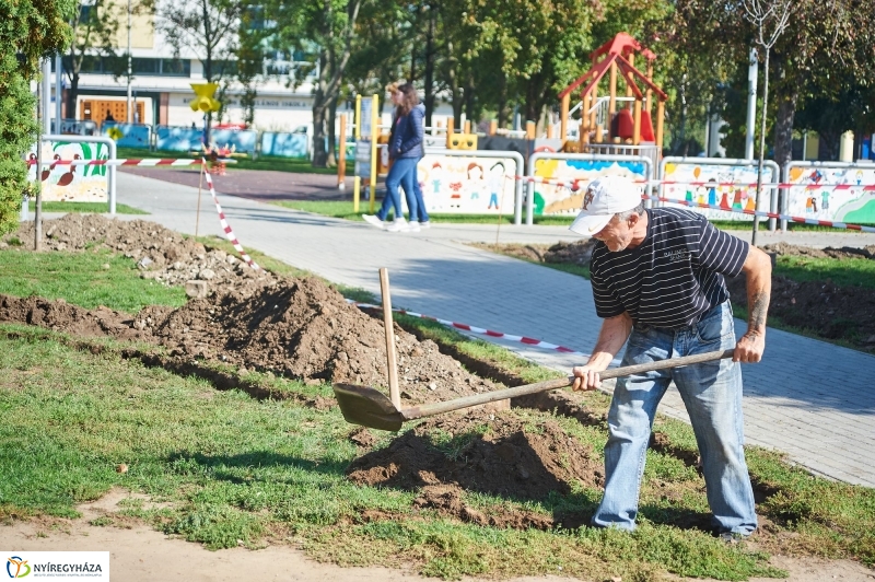 Öntözőrendszer építése a Szabadság téren - fotó Szarka Lajos