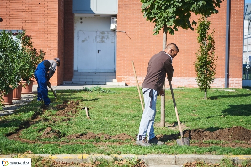 Öntözőrendszer építése a Szabadság téren - fotó Szarka Lajos