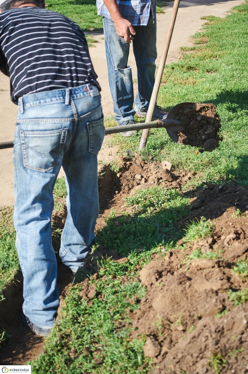 Öntözőrendszer építése a Szabadság téren - fotó Szarka Lajos