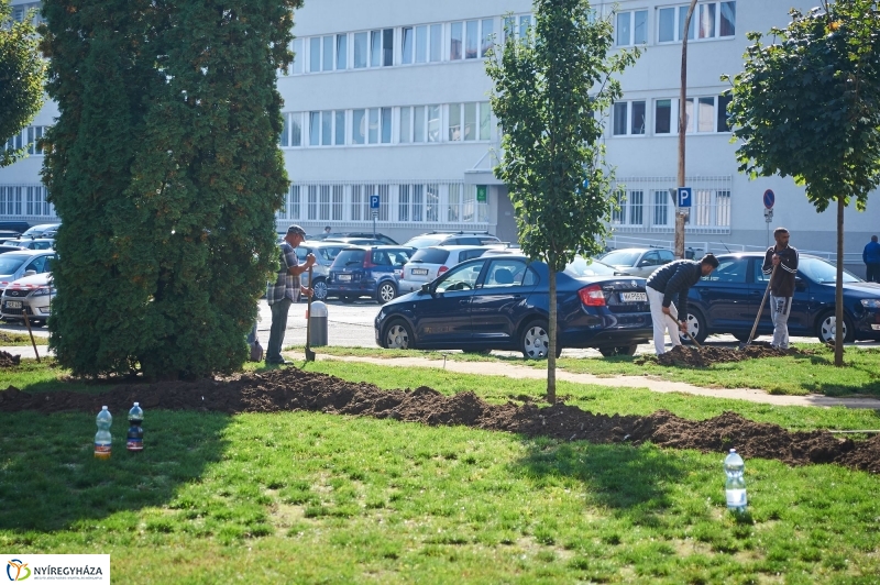 Öntözőrendszer építése a Szabadság téren - fotó Szarka Lajos