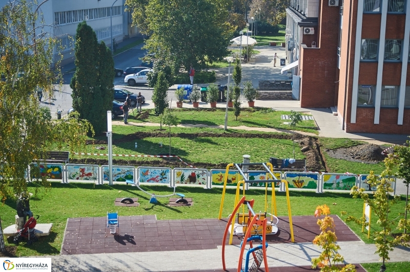 Öntözőrendszer építése a Szabadság téren - fotó Szarka Lajos