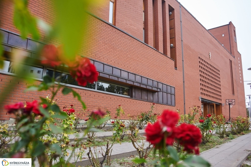 Festett teológia - fotó Szarka Lajos