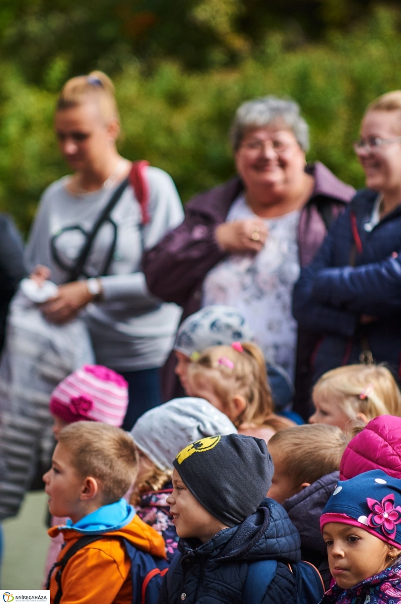 Állatok Világnapja - fotó Szarka Lajos