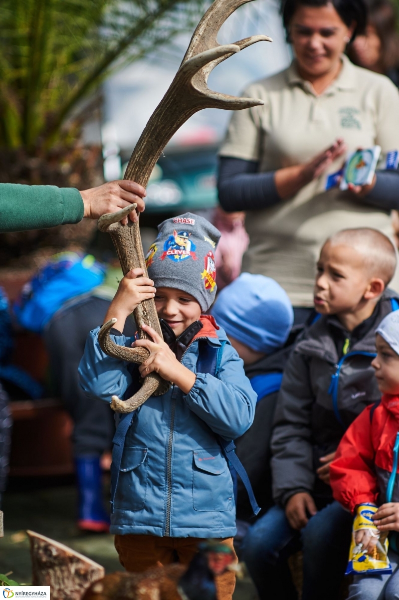 Állatok Világnapja - fotó Szarka Lajos