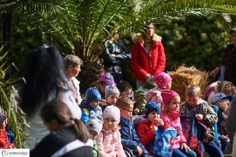Állatok Világnapja - fotó Szarka Lajos