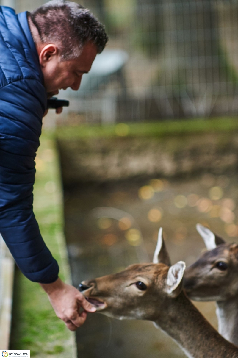 Állatok Világnapja - fotó Szarka Lajos