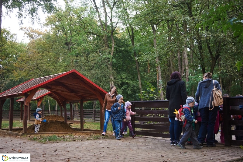 Felújított játszótér az erdőben - fotó Szarka Lajos