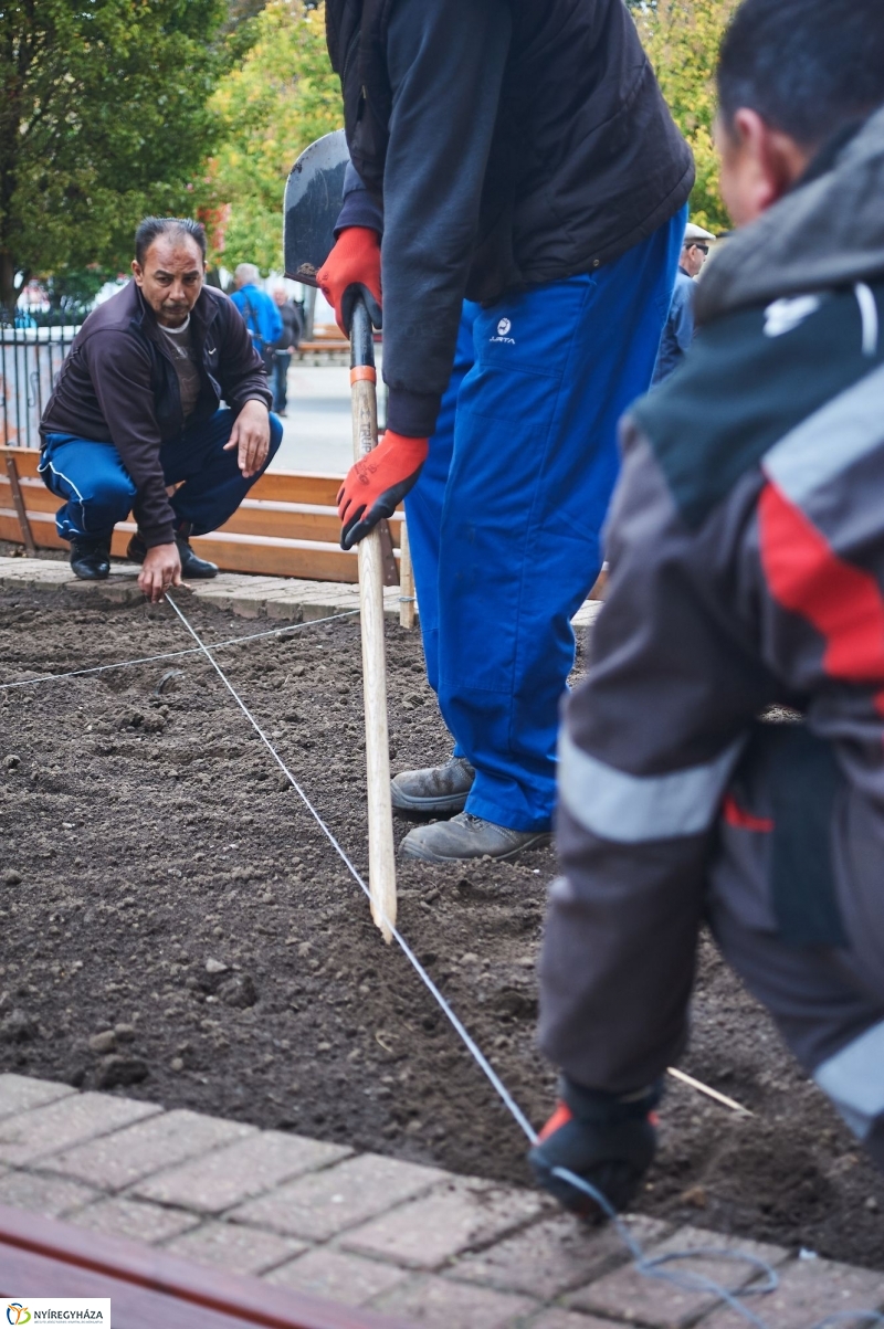 Virágosítás a belvárosban - fotó Szarka Lajos
