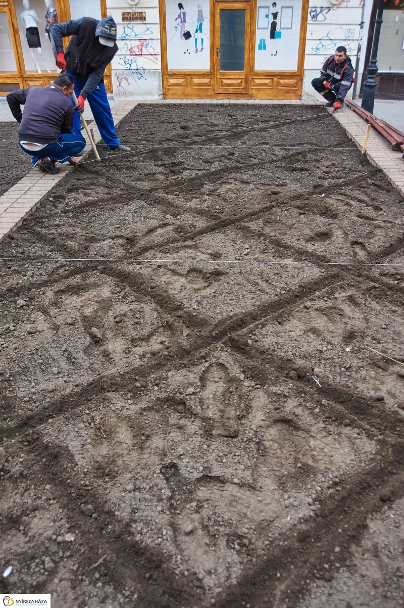 Virágosítás a belvárosban - fotó Szarka Lajos
