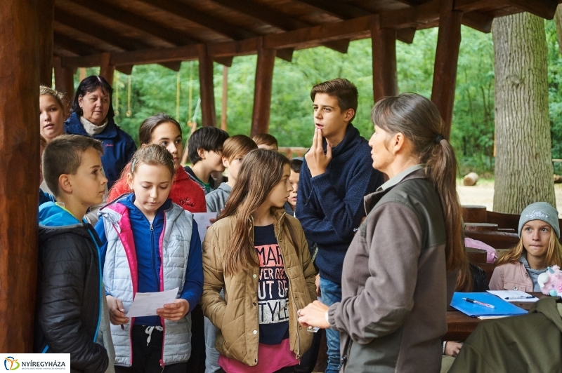 Erdei ismeretek - fotó Szarka Lajos