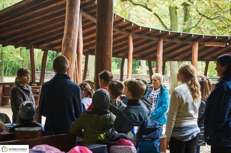 Erdei ismeretek - fotó Szarka Lajos