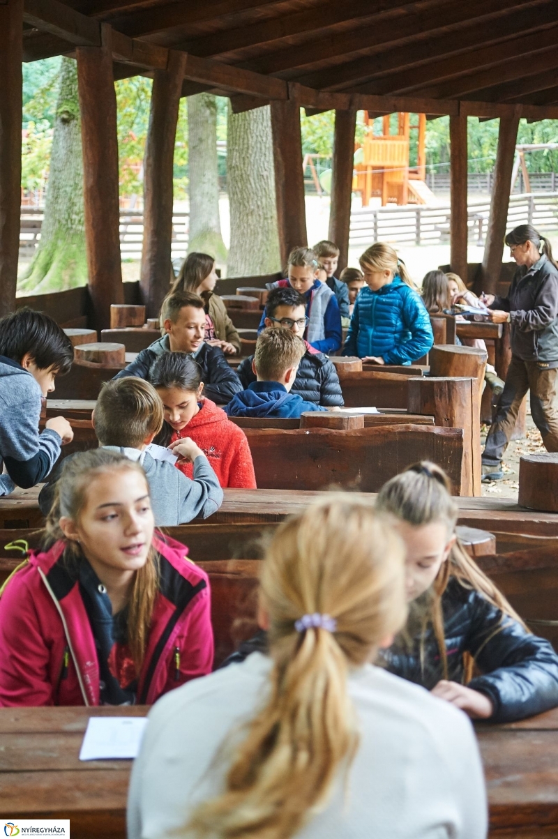 Erdei ismeretek - fotó Szarka Lajos