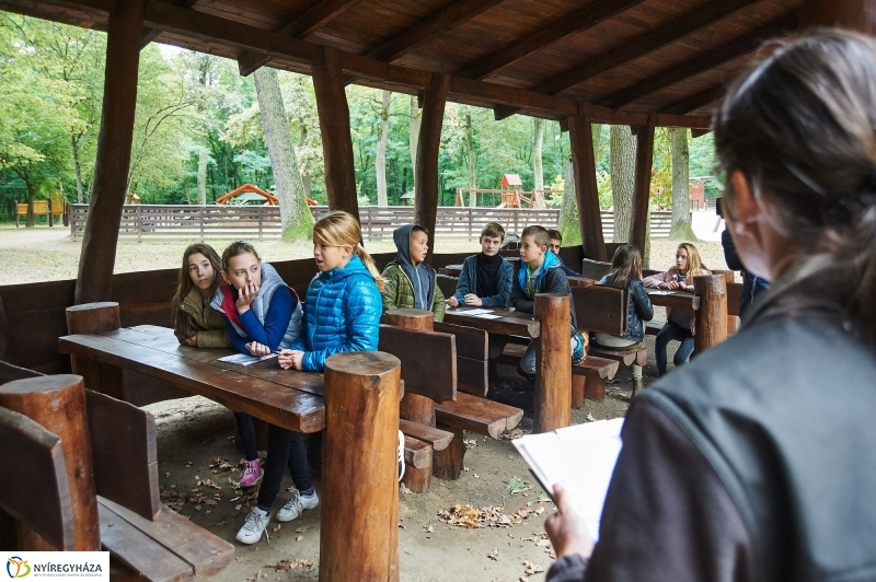 Erdei ismeretek - fotó Szarka Lajos