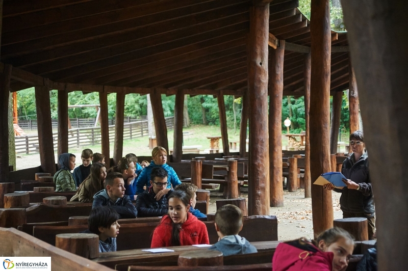 Erdei ismeretek - fotó Szarka Lajos