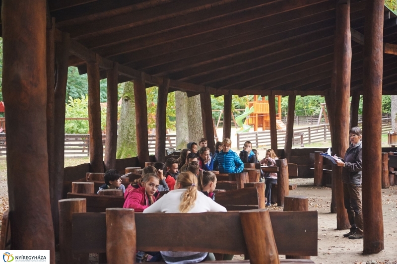 Erdei ismeretek - fotó Szarka Lajos