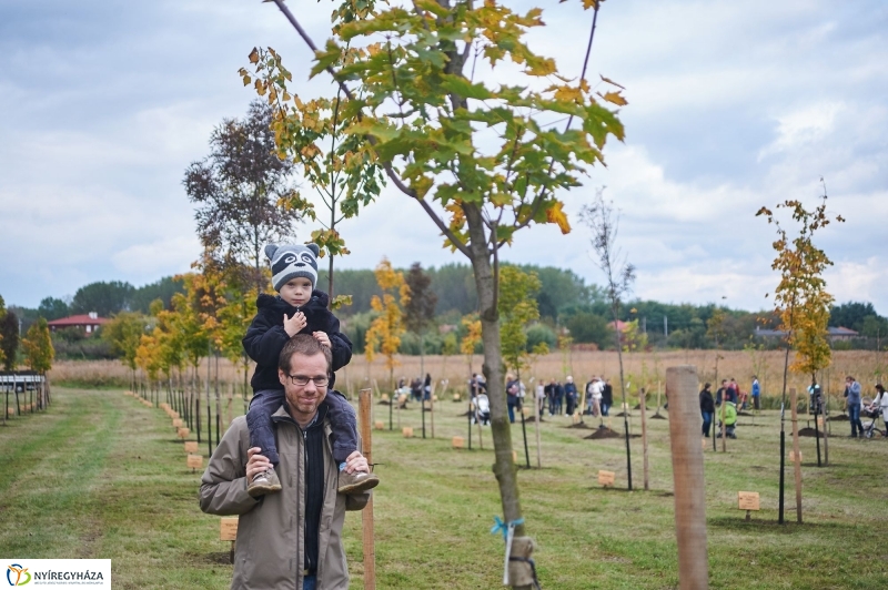 Faültetés az Újéletfa-ligetben 2017 - fotó Szarka Lajos