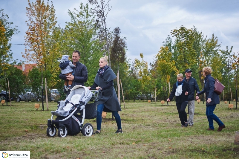 Faültetés az Újéletfa-ligetben 2017 - fotó Szarka Lajos
