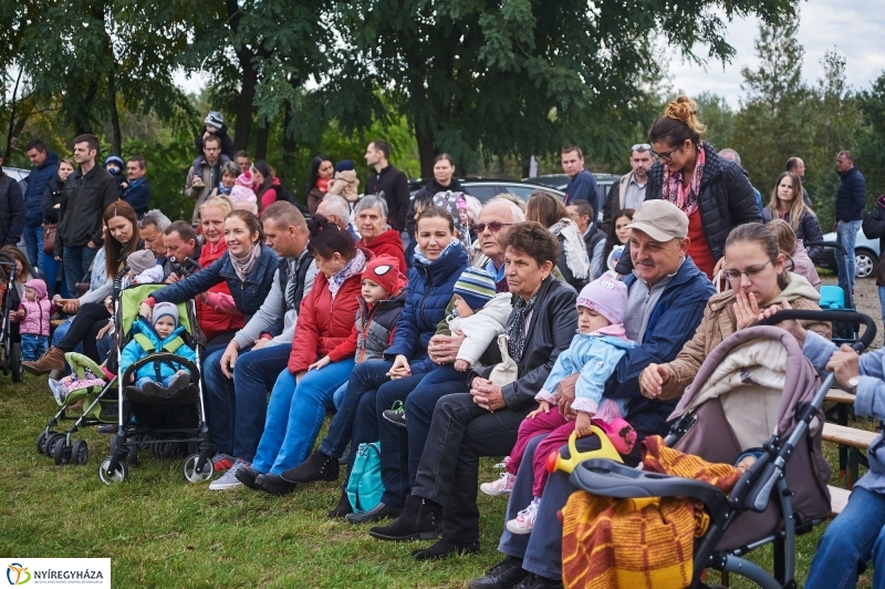 Faültetés az Újéletfa-ligetben 2017 - fotó Szarka Lajos