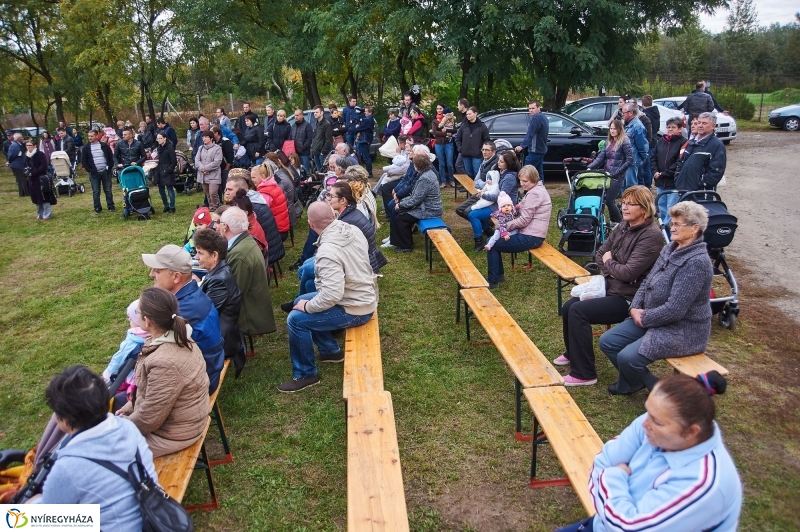 Faültetés az Újéletfa-ligetben 2017 - fotó Szarka Lajos