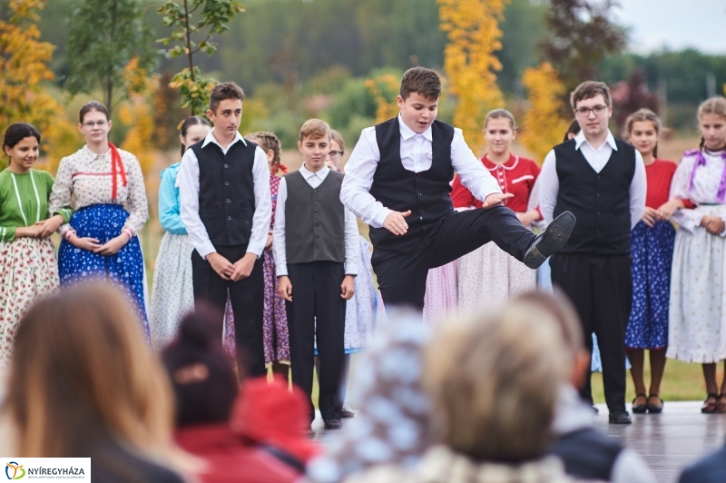 Faültetés az Újéletfa-ligetben 2017 - fotó Szarka Lajos