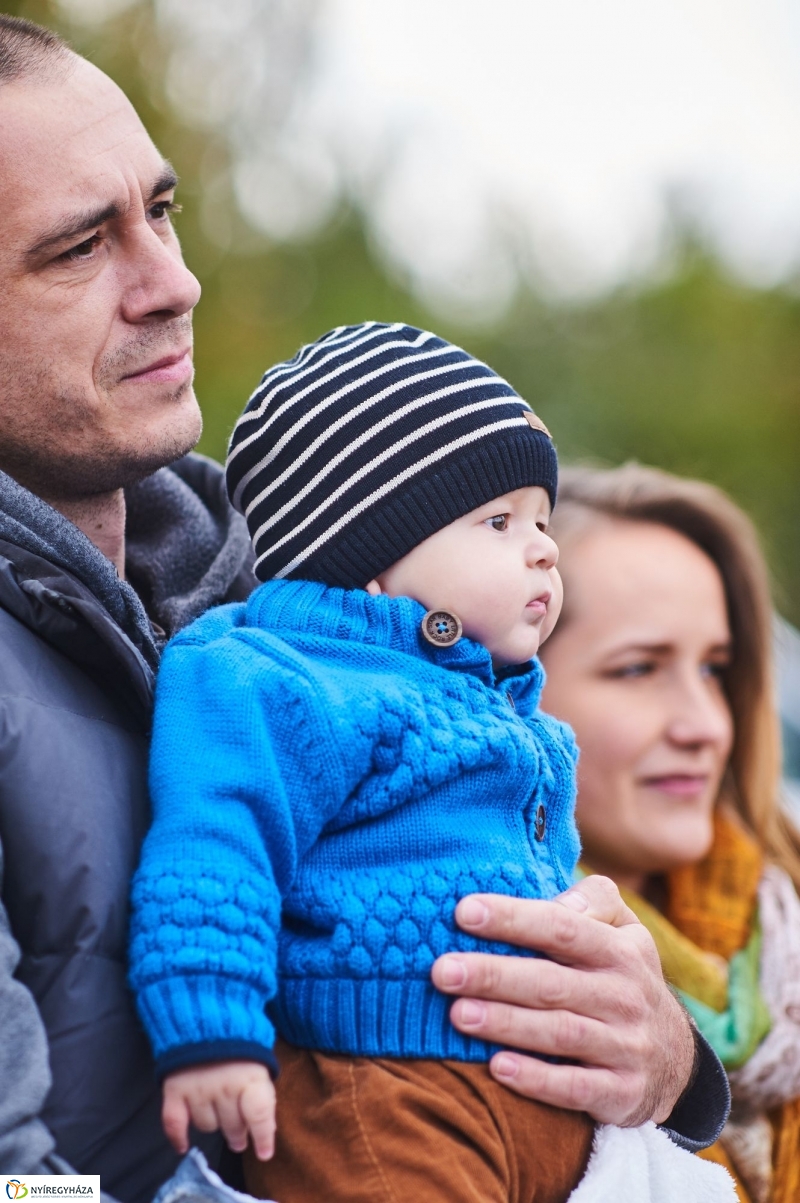 Faültetés az Újéletfa-ligetben 2017 - fotó Szarka Lajos