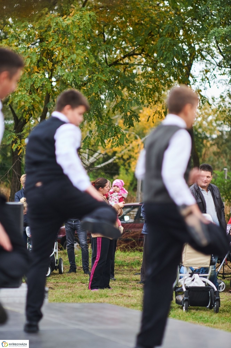 Faültetés az Újéletfa-ligetben 2017 - fotó Szarka Lajos