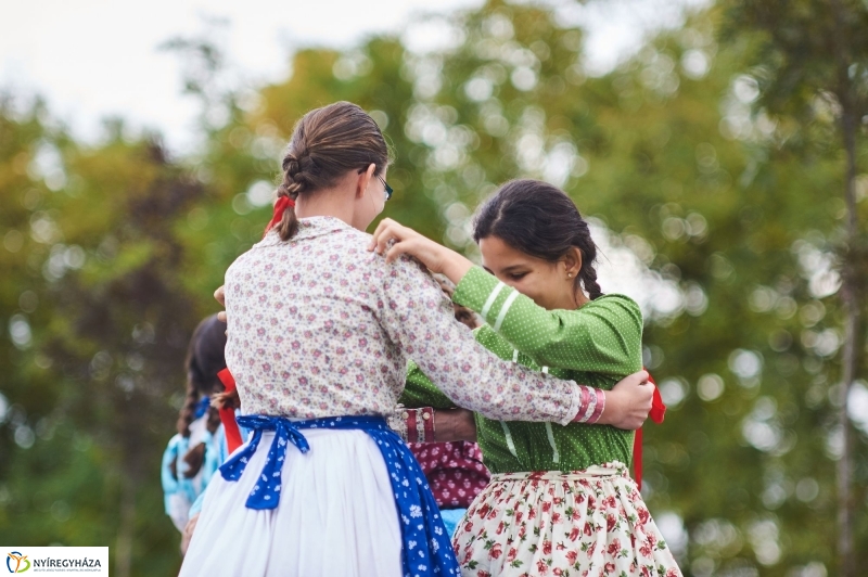 Faültetés az Újéletfa-ligetben 2017 - fotó Szarka Lajos